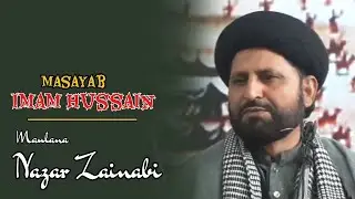 Imam Hussain a.s Masayab by Maulana Nazar Zainabi | Meerut Azadari 2020
