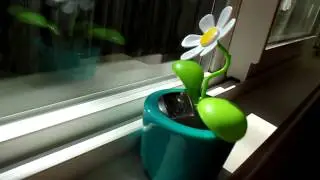 Solar Dancing Flower! ❀ ✾ ❁