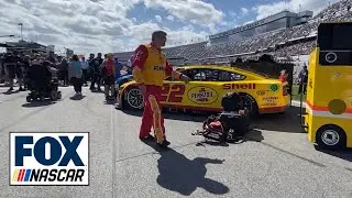 Daytona 500 EXCLUSIVE: Take a walk down the grid at Daytona International Speedway | NASCAR on FOX