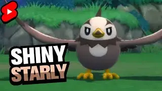 Shiny Starly on a chain of 5 w/ PokeRadar | Pokemon BDSP