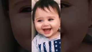 long nose monkey 👺💞 & monkey 🐒 funny 🤣#funnyvideos #nose  #monkey #viral #video #funny #cute #shorts