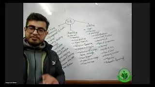 IQ class Nov