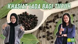 Khasiat Lada Bagi Tubuh