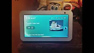 The Internet Is Not Working