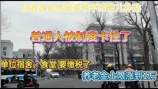 分居独自养娃却领不到育儿补贴，养老金上限涨到1万？单位食堂、宿舍要缴税了。制度都 “没毛病”，为啥受伤的总是普通人？