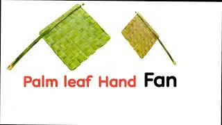 Palm leaf hand fan