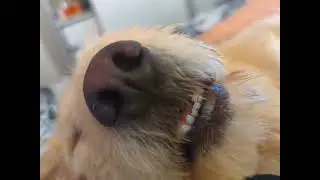 When the nap is so goood