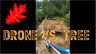 Drone vs Tree