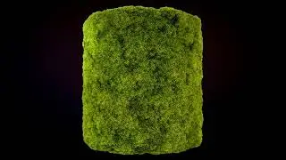 Moss Material Substance Designer and Painter