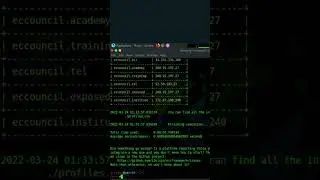OSRFramework in Ethical Hacking: Footprinting Targets the Smart Way