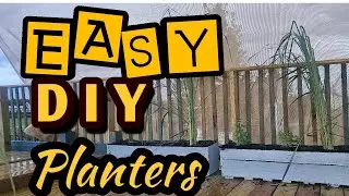 POOL Deck Planters to Keep Insects Away Naturally
