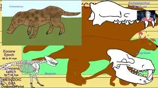 condylarths & artiodactyl evolution