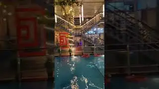 Pool Cafe Delhi 🔥🔥 #poolcafe #majnukatila #kishanminivlogs