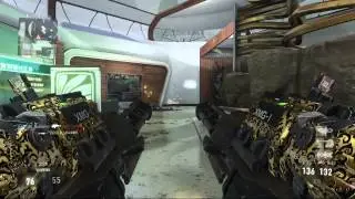 CoD AW all heavy guns in royalty