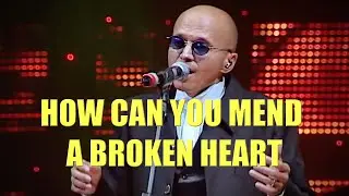 WER - HOW CAN YOU MEND A BROKEN HEART