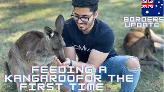Went to lone pine koala sanctuary|| International borders update ! || Indian student !! @NSJVlogs