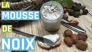La mousse de noix fermentée (Juglans regia)
