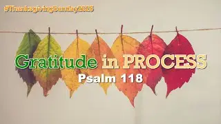 Pastor Harley Snode - Gratitude In Process - 11-23-25 Sun AM