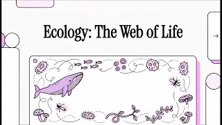The Web of Life: Energy Flow, Cycles, and Keystone Species