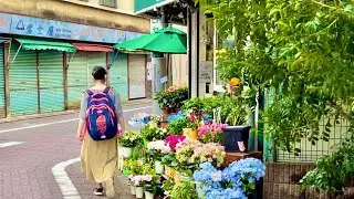 [JAPAN/TOKYO]Zoshiki station walking scenery