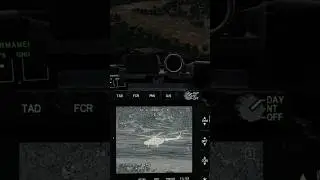 #dcs APACHE CHASE DOWN