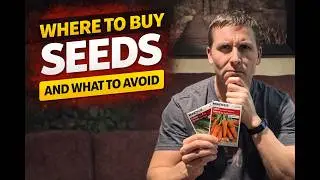 Where to Buy Vegetable Seeds for Beginners (Best & Worst Places)