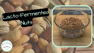 Make Probiotic Rich Nuts at Home I Lacto Fermentation Recipe