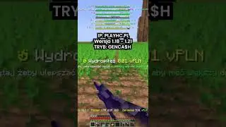 Are you complaining about this in Minecraft? #minecraft #minecraftserver #mcpl