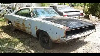 Let's Walk around a Bone Yard in the Deep South