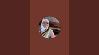 بدأت قناة 