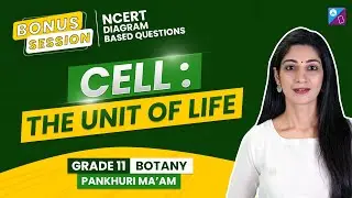 Cell the Unit of Life Class 11 Biology NCERT Diagram Based Questions & Answers | NEET 2023 Exam