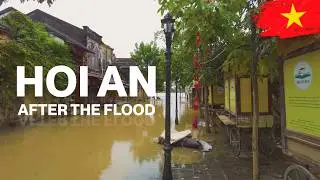 [4K] Hoi An After the Flood | The Ancient Town Comes Back to Life
