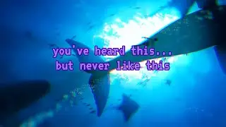 JRPG Underwater Level OST: A Deep Dive into the Surreal