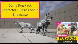 UE5 DOG CHARACTER SETUP 1 - ANIMATION ROOT FIX + SHOWCASE  - SYNTY - POLYGON - Dog Pack
