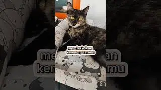 Merubahnya jadi sehat dan cantik itu adalah #shortvideo #cat #kucingimoet #kucing #menolongkucing