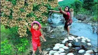 Baby and Mother Spotted Egg duck with big crab in river - pick Longan for eating Delicious