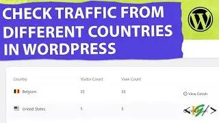 How to Check Traffic from Different Countries in WordPress | Top Countries | Visitors
