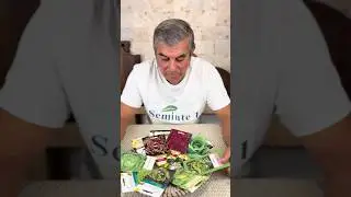 #seminte1 #seminterosii #rosiigigant #bio #tomato #salata #agricultura #gradina #soiuri