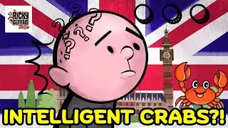 Karl Pilkington Believes Fake Science About Intelligent Crabs | The Ricky Gervais Show (XFM)