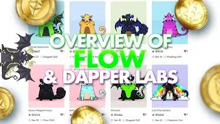 FLOW Token from Dapper Labs (Crypto Kitties & NBA Top Shots) NFTs