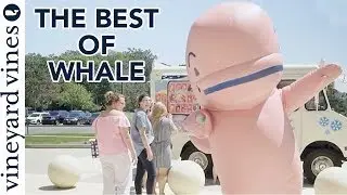 The Best of Whale Compilation | vineyard vines