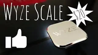 Wyze Smart Scale - Unboxing┃First Impressions┃Full Setup┃ONLY $20