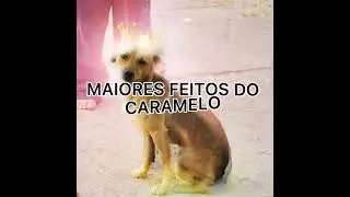 Maiores feitos de Caramelo