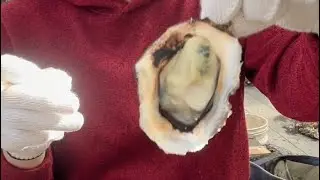 「女装して？牡蠣食べ放題行ってきた」