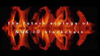 the future ecology of NGK.IO blockchain