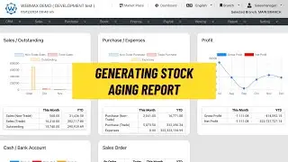 (华语) Stock Report - Stock Aging Report (Webmax ERP System) (V3)