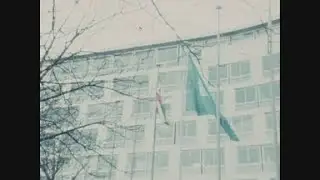 News Item (19fe0885-35d0-468f-d95a-7dfdd31e694b)