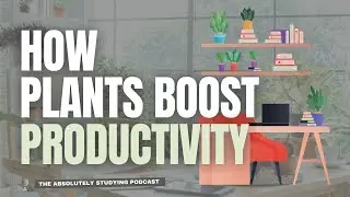 How to Use Plants to Massively Increase Your Productivity
