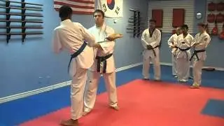 Master Feller - round kick defense