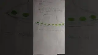 Wanted to share a disturbing end-times dream l Large silver spacecraft l Alien offspring/Hubrids